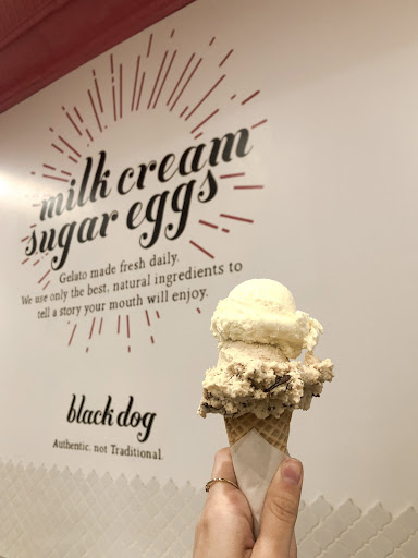 Ice Cream Shop «Black Dog Gelato», reviews and photos, 859 N Damen Ave, Chicago, IL 60622, USA