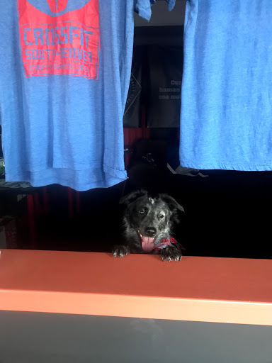 Gym «CrossFit South Denver», reviews and photos, 2783 W Hampden Ave, Sheridan, CO 80110, USA