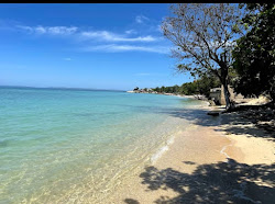 Belmont Sands'in fotoğrafı çok temiz temizlik seviyesi ile