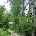 Photo n°2 de l'avis de Davide.a fait le 08/08/2021 à 12:32 sur le  Malga Col Toront à Nevegal