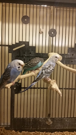 Pet Supply Store «PetSmart», reviews and photos, 1196 W Olive Ave, Merced, CA 95348, USA