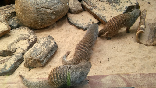 Zoo «Central Park Zoo», reviews and photos, E 64th St & 5th Ave, New York, NY 10021, USA