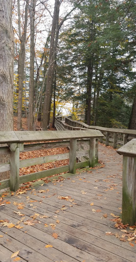 Tourist Attraction «Brandywine Gorge Trail», reviews and photos, 8176 Brandywine Rd, Sagamore Hills, OH 44067, USA