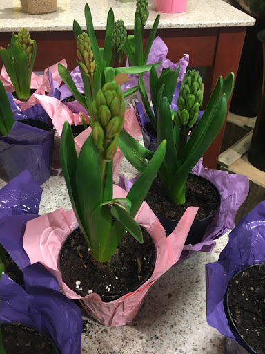 Supermarket «Price Chopper», reviews and photos, 564 SW Cutoff, Worcester, MA 01610, USA