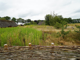 Stichting Borger Prehistorisch Hart Van Nederland