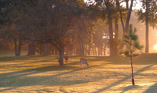 Golf Course «Swan Lake Golf Course», reviews and photos, 581 Dunbar Cave Rd, Clarksville, TN 37043, USA