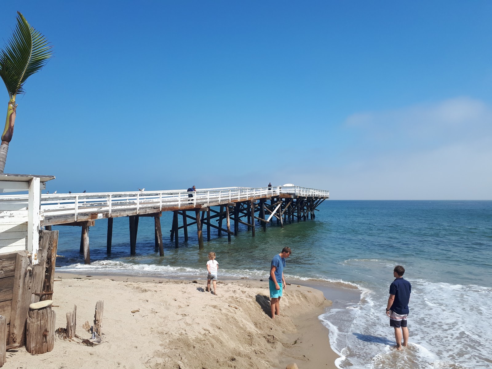 Paradise Cove Beach'in fotoğrafı uçurumlarla desteklenmiş