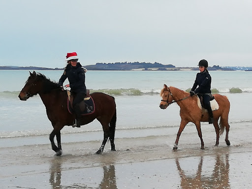Ecurie Du Cast à Saint-Cast-le-Guildo, Côtes-d’Armor