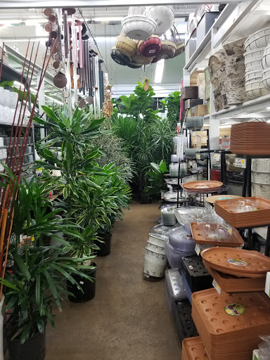 Florist «Metropolitan Plant & Flower», reviews and photos, 840 NJ-17, Paramus, NJ 07652, USA
