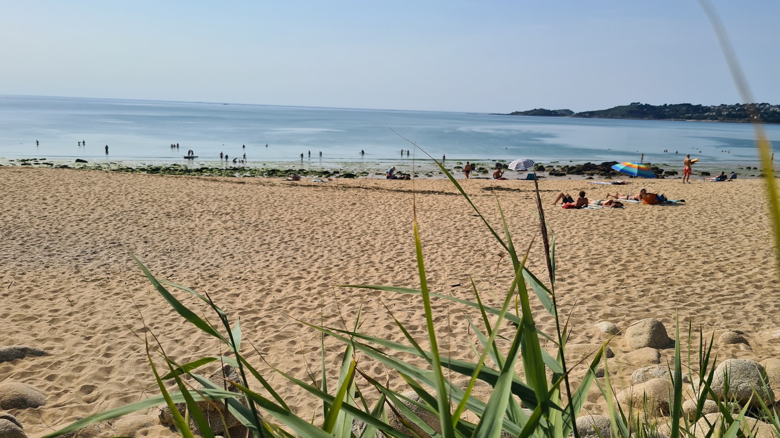 Φωτογραφία του Plage de Maez-an-Aod άγρια περιοχή