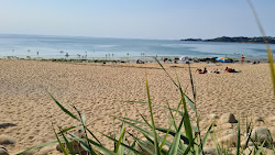 Foto di Plage de Maez-an-Aod zona selvaggia