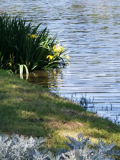 Public Golf Course «Memorial Park Golf Course», reviews and photos, 1001 E Memorial Loop, Houston, TX 77007, USA