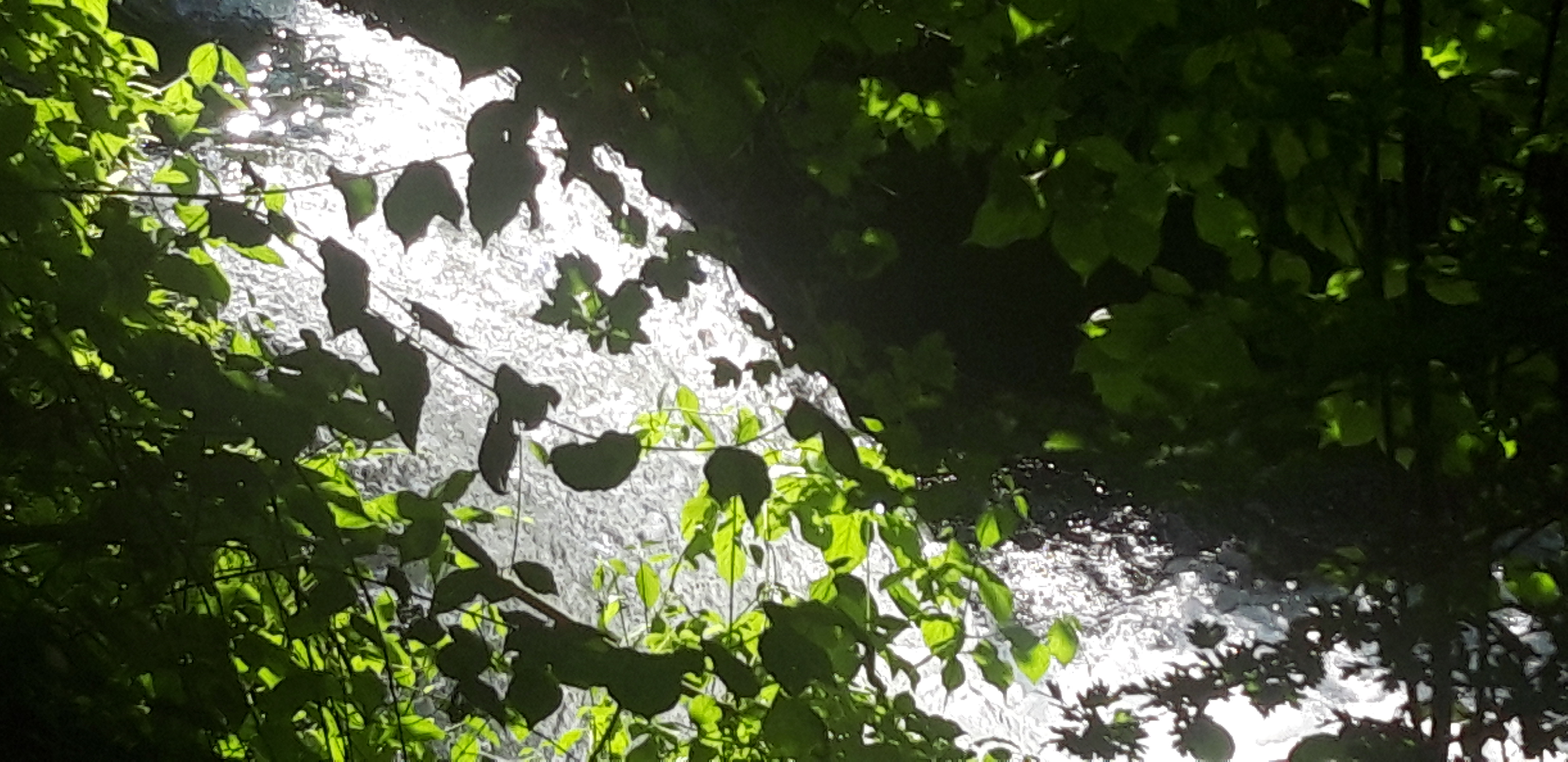 Photo n° 14 de l'avis de Marc.A fait le 20/07/2021 à 16:37
