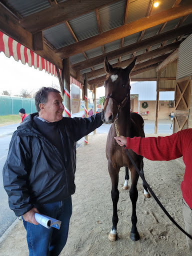 Auto Insurance Agency «Connie Phillips Insurance Financial», reviews and photos