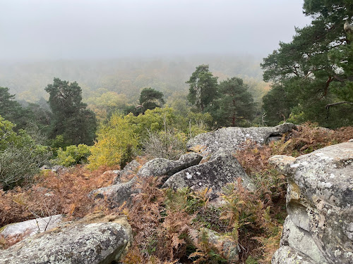 Point de Vue du Camp de Chailly à Fontainebleau