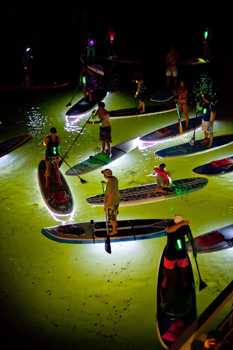 Surf Shop «Solstice Sports», reviews and photos, 408 N Howard Ave, Tampa, FL 33606, USA