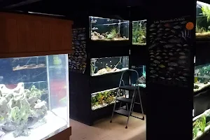 Blue Fish Aquarium image