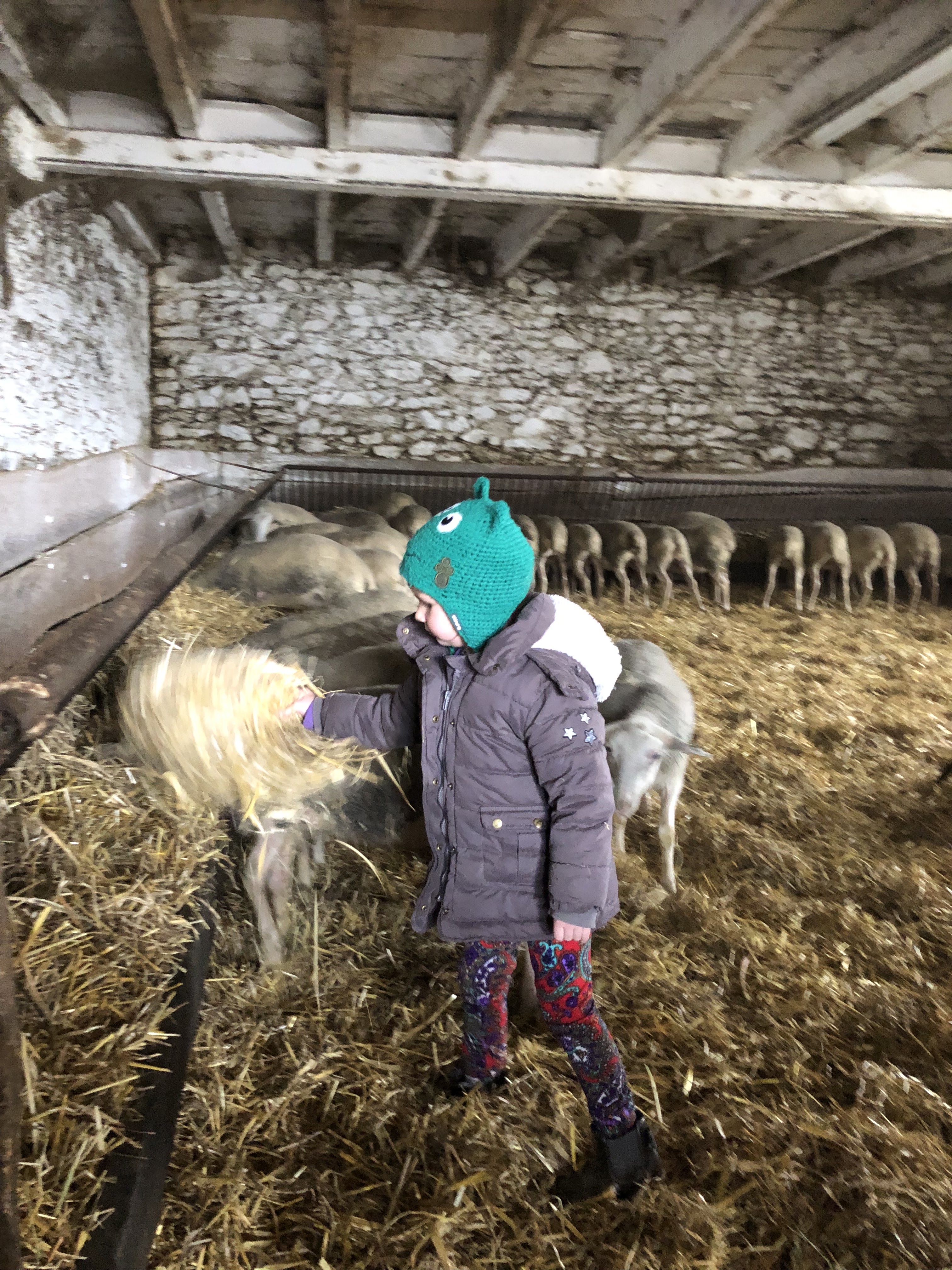 Photo n° 1 de l'avis de Christine.l fait le 21/02/2023 à 16:55