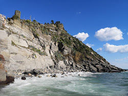 Vernazza Plajı'in fotoğrafı ve güzel manzarası