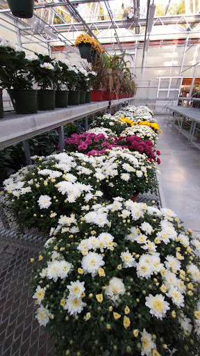 Produce Market «E Draghi & Son Farm Stand», reviews and photos, 86 Main St, South Glastonbury, CT 06073, USA