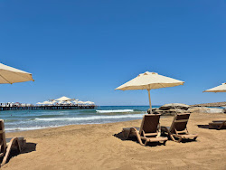 Elexus Beach'in fotoğrafı geniş bir kıyı şeridi ile birlikte