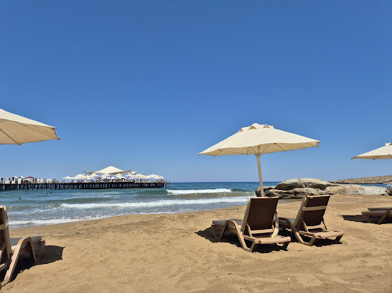Elexus Beach