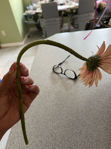 Florist «Cape Winds Florist», reviews and photos, 860 Broadway, Cape May, NJ 08204, USA