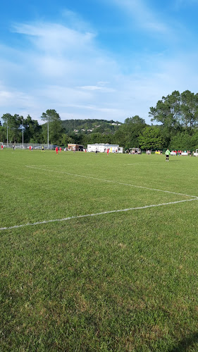 Comments and reviews of Pontardawe Town AFC