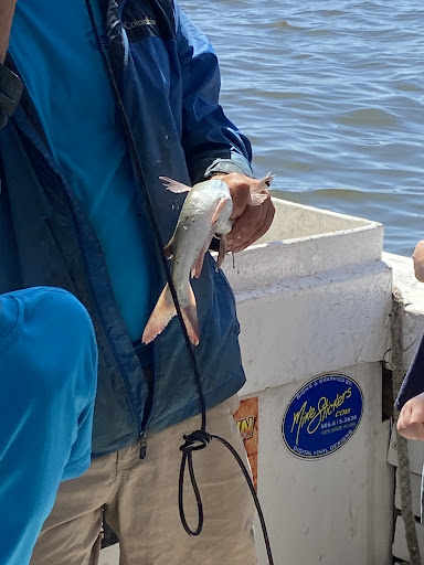 Cruise Agency «Biloxi Shrimping Trip», reviews and photos, 693 Beach Blvd, Biloxi, MS 39530, USA