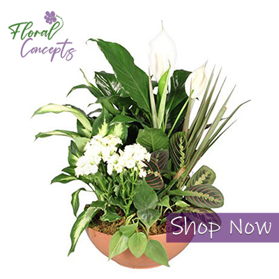 Florist «Floral Concepts», reviews and photos, 11261 Richmond Ave G109, Houston, TX 77082, USA