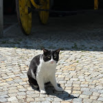 Photo n°5 de l'avis de Vi. fait le 08/07/2023 à 18:03 sur le  Relais San Maurizio à Santo Stefano Belbo