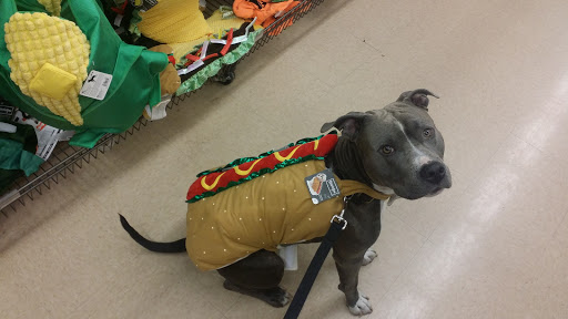 Pet Supply Store «Petco Animal Supplies», reviews and photos, 1350 S Ironton St #120, Aurora, CO 80012, USA