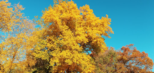 Nature Preserve «For-Mar Nature Preserve & Arboretum», reviews and photos, 2142 N Genesee Rd, Burton, MI 48509, USA