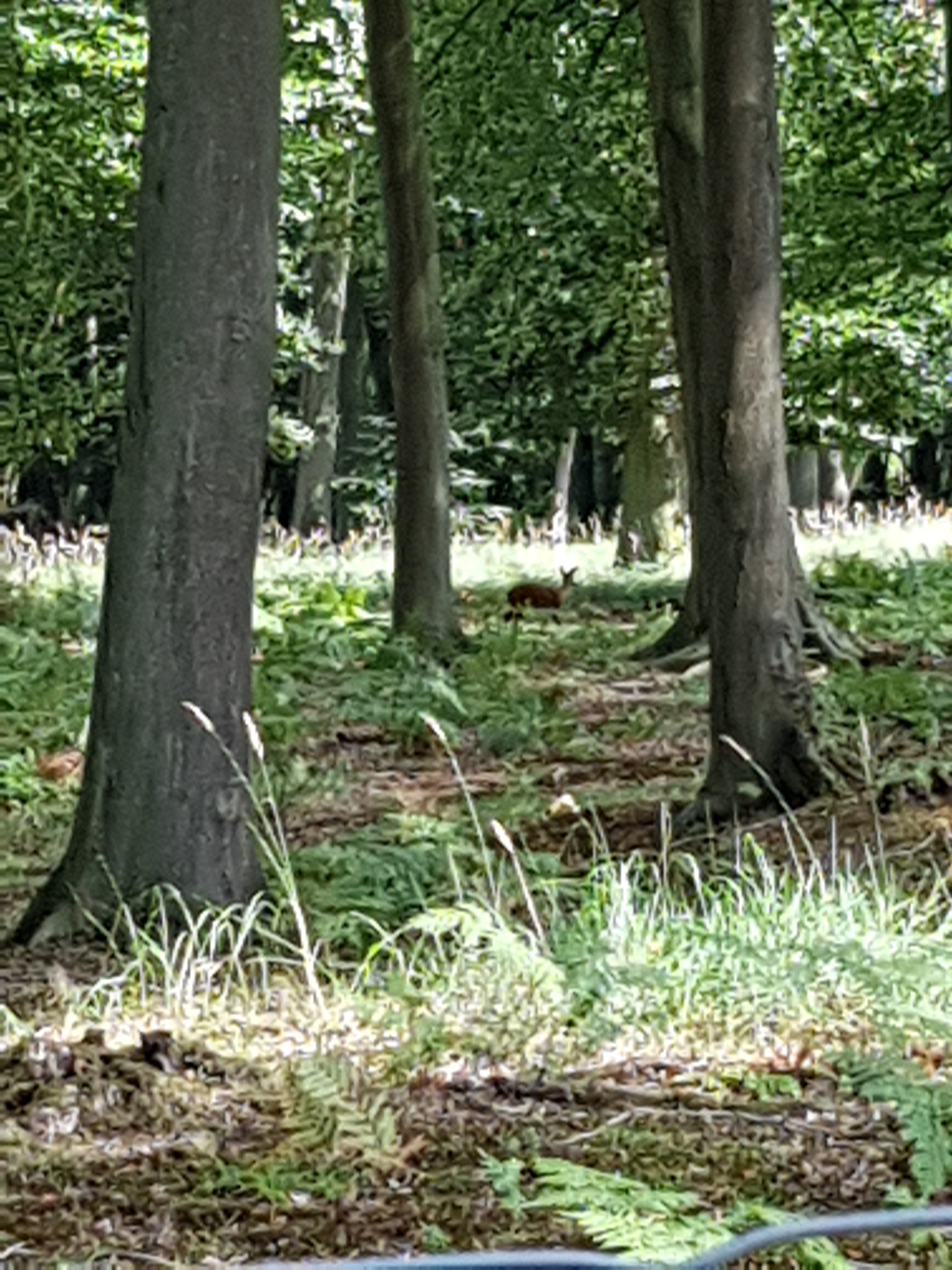 Photo n° 6 de l'avis de Martine.R fait le 21/08/2018 à 17:38