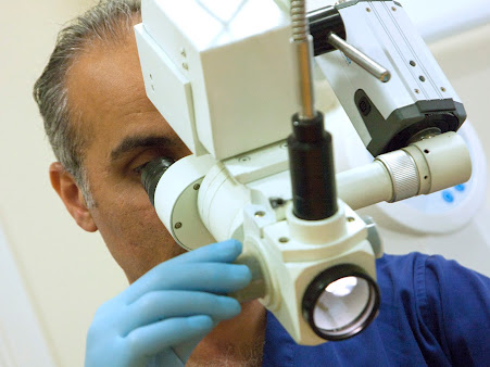 Mulberry Ear Clinic - Mulberry Ear Clinic