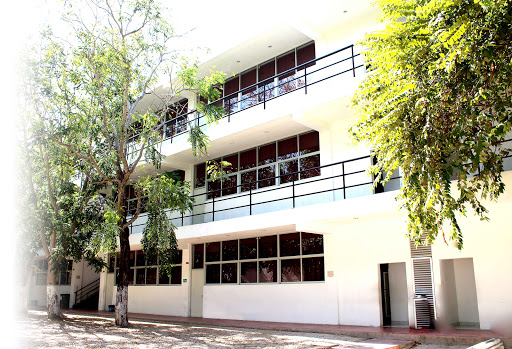 Colegio de Estudios Universitarios del Mayab
