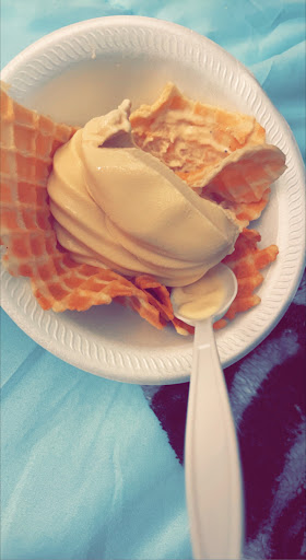 Ice Cream Shop «Alexanders Ice Cream», reviews and photos, 369 W Jackson St, Cicero, IN 46034, USA