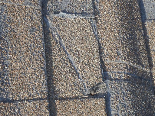 Roofing Contractor «Cert-A-Roof», reviews and photos, 2232 E Wilson Ave, Orange, CA 92867, USA