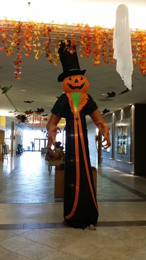 Shopping Mall «Orchard Mall Shopping Center», reviews and photos, 6337 Orchard Lake Rd, West Bloomfield Township, MI 48322, USA