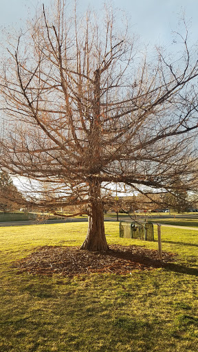 Memorial Park «E.B. Rains Jr. Memorial Park», reviews and photos, 11701 Community Center Dr, Northglenn, CO 80233, USA