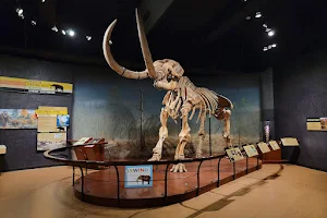 The State Museum of Pennsylvania image