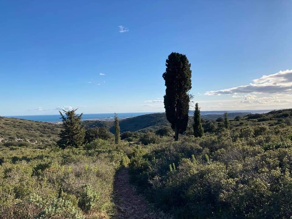 Photo n° 5 de l'avis de Abdel.a fait le 16/03/2021 à 16:41
