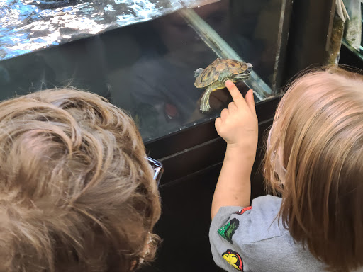 Pet Supply Store «Petco Animal Supplies», reviews and photos, 4665 Garth Rd #400, Baytown, TX 77521, USA