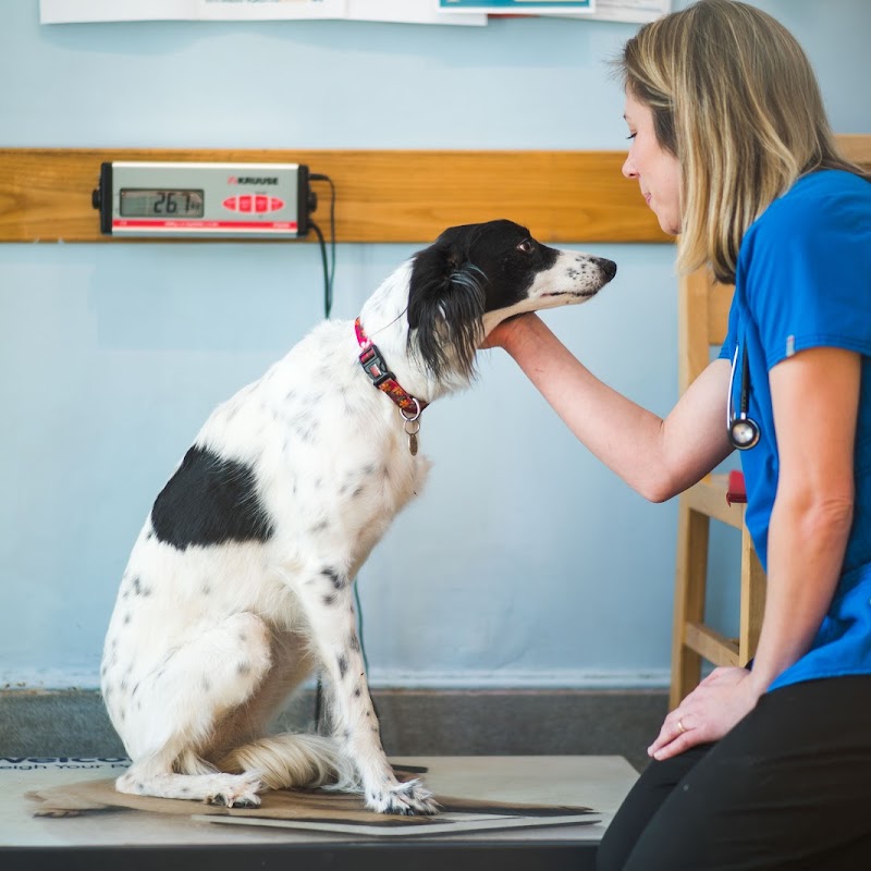 Christopher Carter Veterinary Surgery