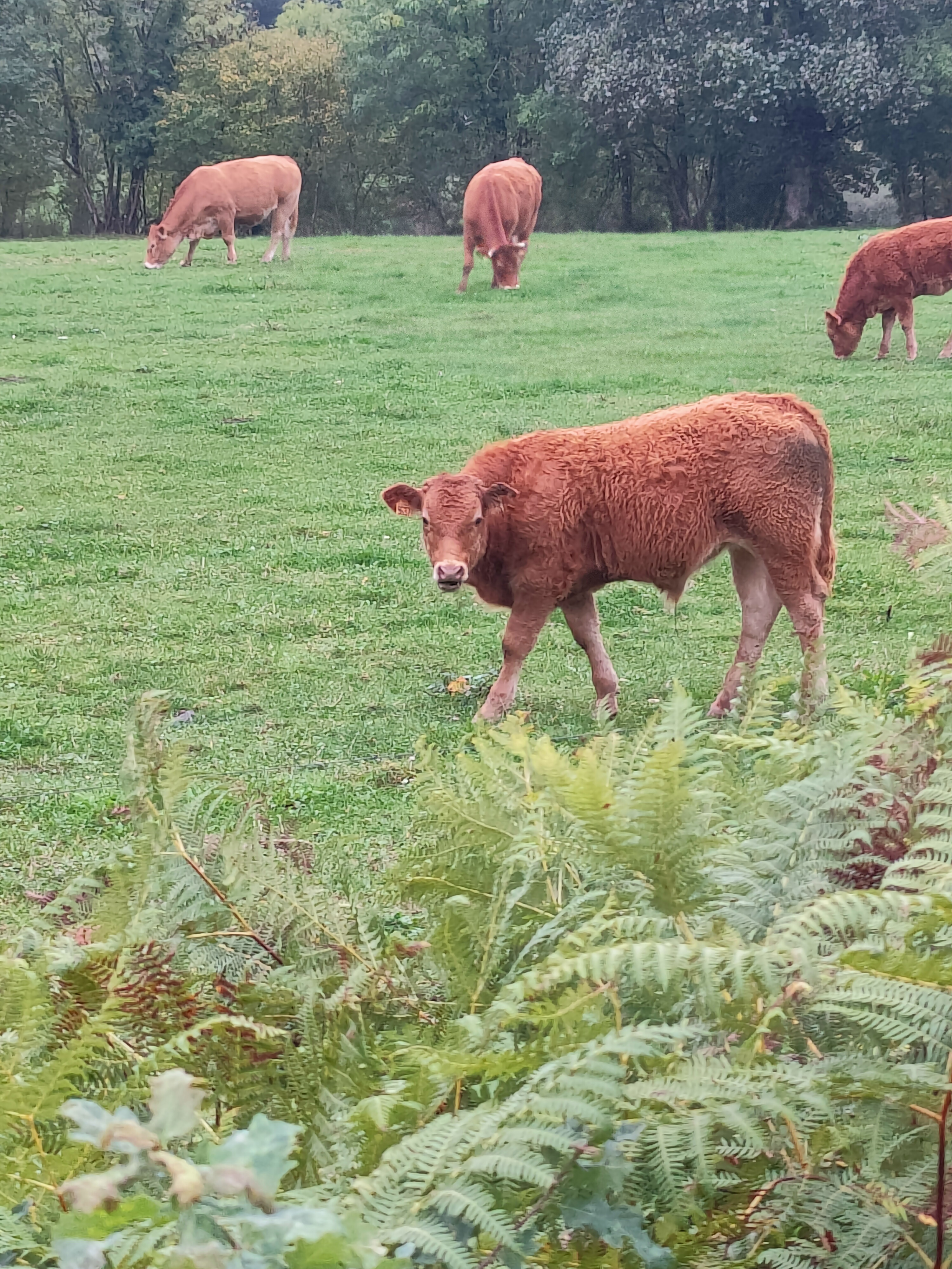 Photo n° 1 de l'avis de MICKAEL.L fait le 27/10/2022 à 15:42