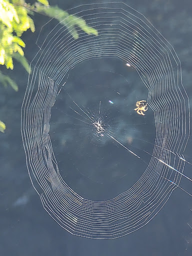 Park «Macleay Park», reviews and photos, NW 29th Ave & Upshur St, Portland, OR 97210, USA