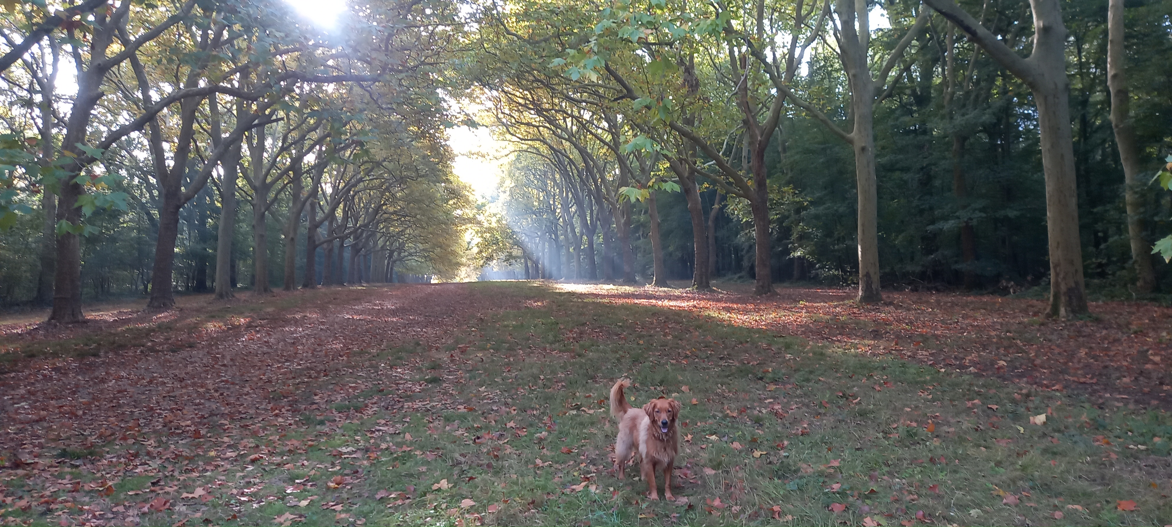 Photo n° 2 de l'avis de Adeline.a fait le 17/10/2021 à 11:57