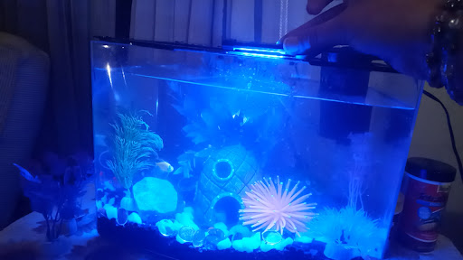 Pet Supply Store «Pet Supplies Plus», reviews and photos, 2424 W State St, Alliance, OH 44601, USA