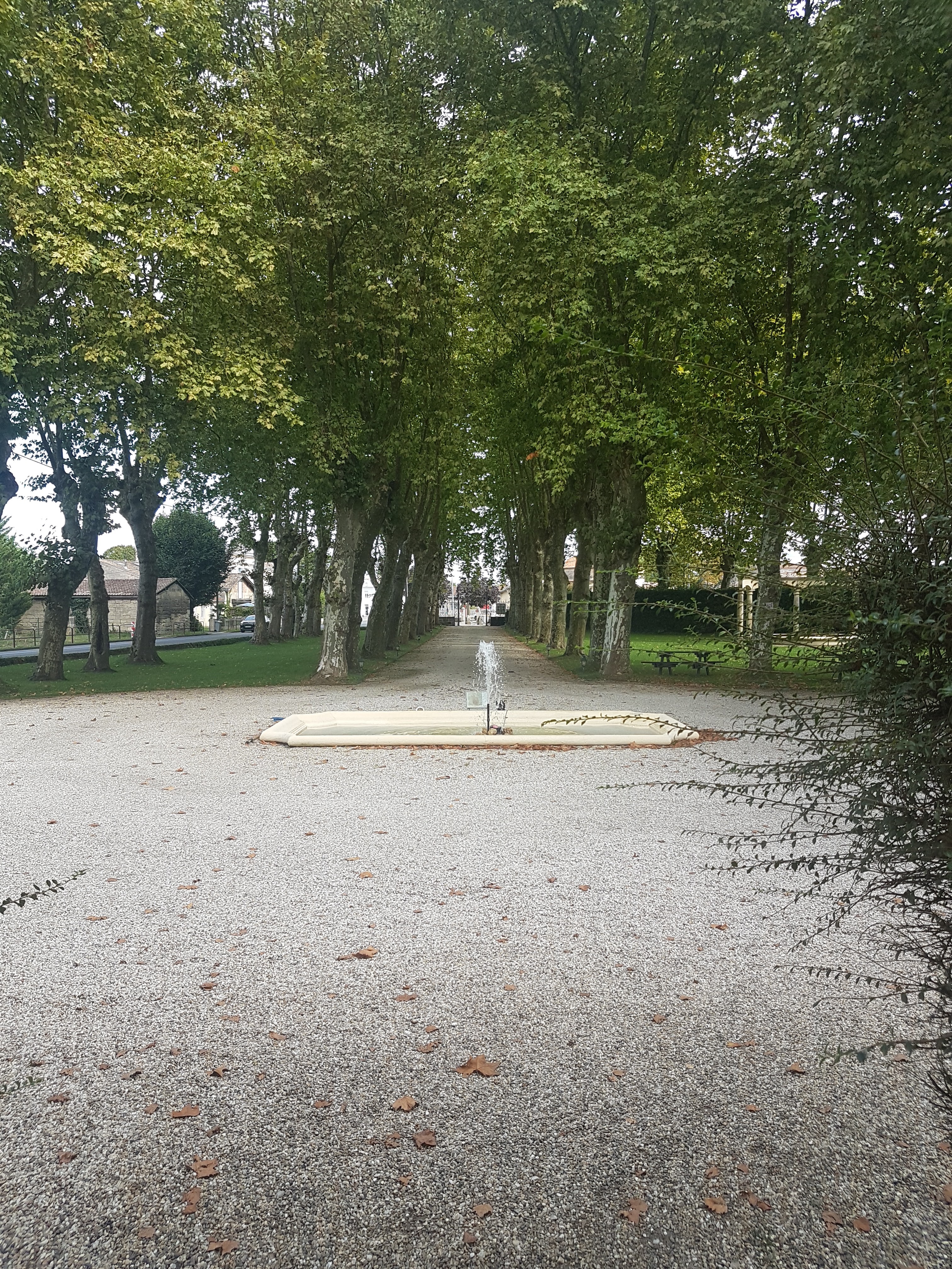 Photo n° 2 de l'avis de Orel.y fait le 22/09/2020 à 14:37