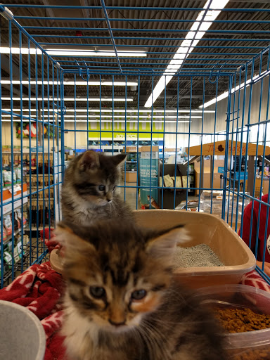 Pet Supply Store «Petco Animal Supplies», reviews and photos, 5925 US-6, Portage, IN 46368, USA
